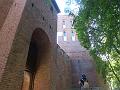 Frombork_wzgorze_katedralne (6)